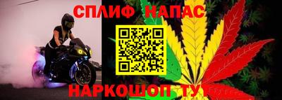индика Краснокаменск