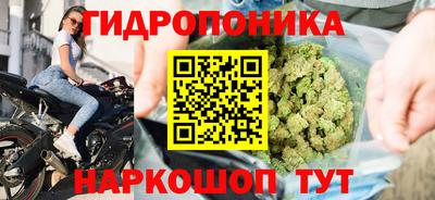 ешки Краснодар