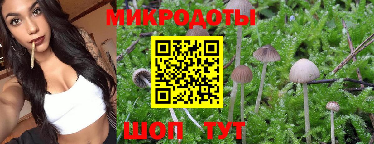 Галлюциногенные грибы прущие грибы Кохма
