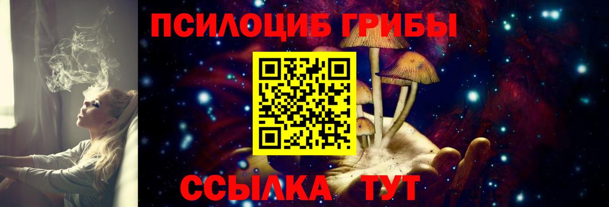 Галлюциногенные грибы Cubensis  Галлюциногенные грибы Psilocybine cubensis  Кохма  Вход с VPN 